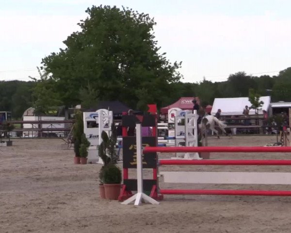 Großes Reit- und Springturnier Kirchhellen/Stall Dieckmann 2015