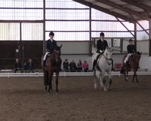 Großes Reit- und Springturnier Kirchhellen/Stall Dieckmann 2015