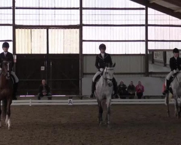 Großes Reit- und Springturnier Kirchhellen/Stall Dieckmann 2015