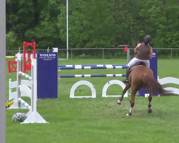 Grosses Freilandreitturnier Leingarten 2015