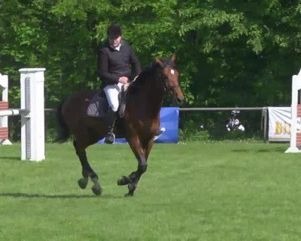 Grosses Freilandreitturnier Leingarten 2015