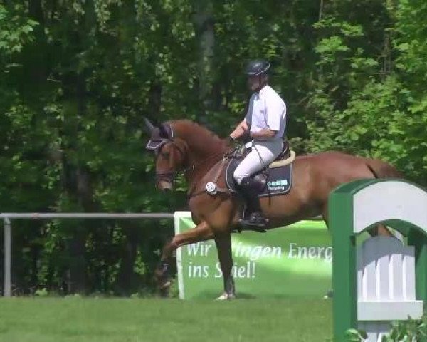 Grosses Freilandreitturnier Leingarten 2015