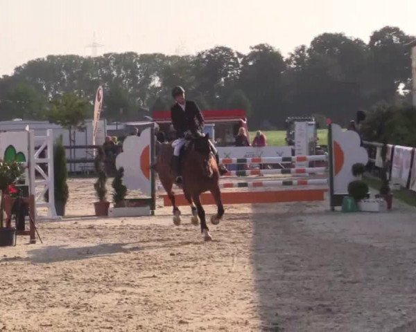 Großes Reit- und Springturnier Kirchhellen/Stall Dieckmann 2015