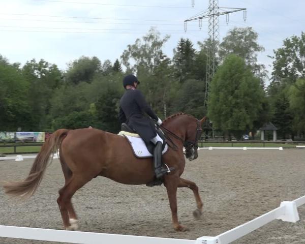 Ride turnering Eicherloh - Gut Eicherloh/Obb. 2026
