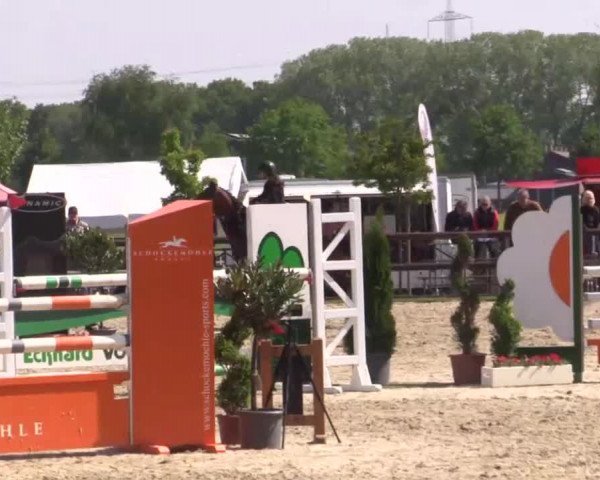 Großes Reit- und Springturnier Kirchhellen/Stall Dieckmann 2015