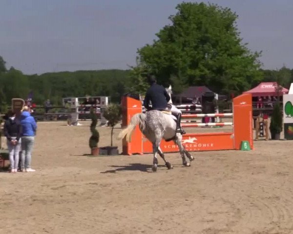Großes Reit- und Springturnier Kirchhellen/Stall Dieckmann 2015