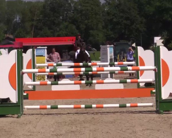 Großes Reit- und Springturnier Kirchhellen/Stall Dieckmann 2015