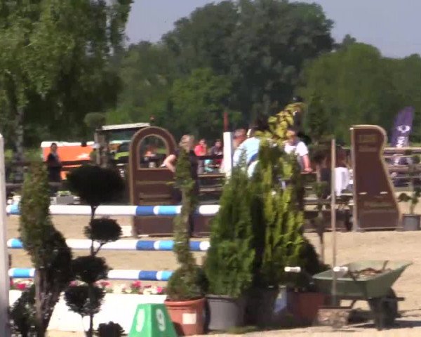 Großes Reit- und Springturnier Kirchhellen/Stall Dieckmann 2015
