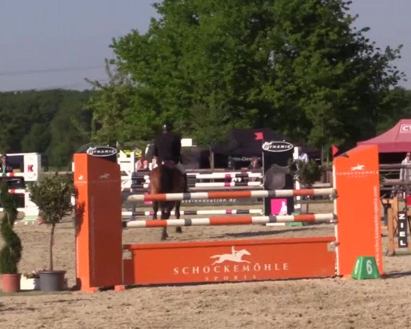 Großes Reit- und Springturnier Kirchhellen/Stall Dieckmann 2015