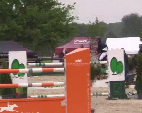 Großes Reit- und Springturnier Kirchhellen/Stall Dieckmann 2015