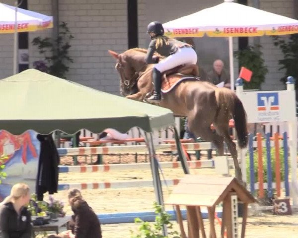 Reit - und Springturnier Hamm-Rhynern 2015