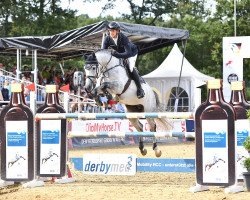 jumper DSP Duke Diamant (German Sport Horse, 2015, from Diamant de Semilly)