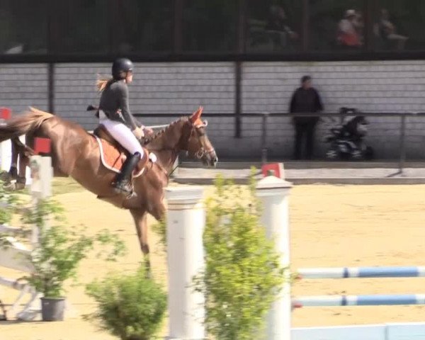 Reit - und Springturnier Hamm-Rhynern 2015