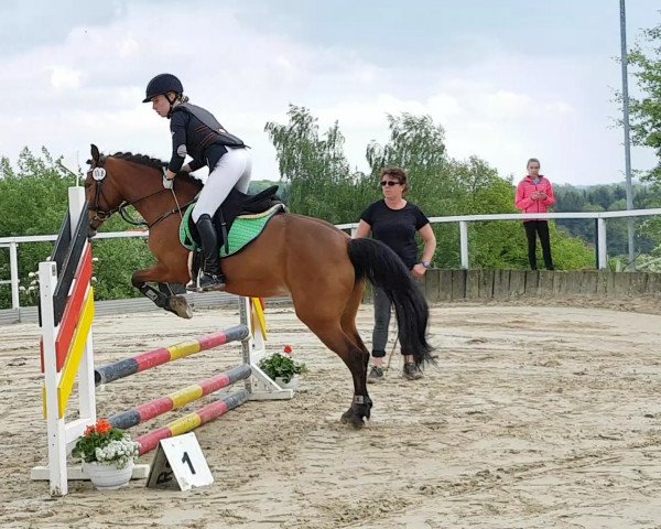 Dressurpferd Inka 424 (Deutsches Reitpony, 1997)