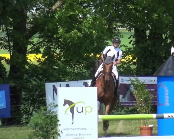 2. Limburger Springfestival 2015