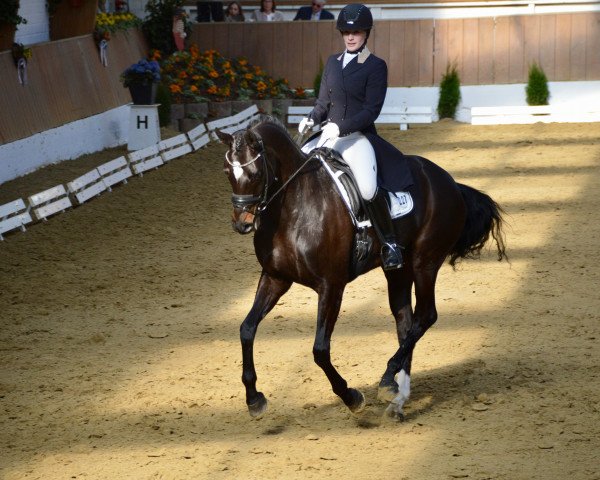 broodmare Fleur de la Finesse (Oldenburg, 2009, from Fidertanz)