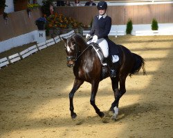broodmare Fleur de la Finesse (Oldenburg, 2009, from Fidertanz)