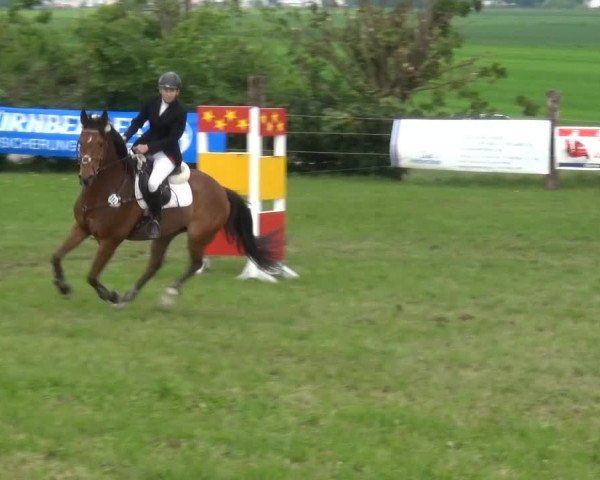 2. Limburger Springfestival 2015