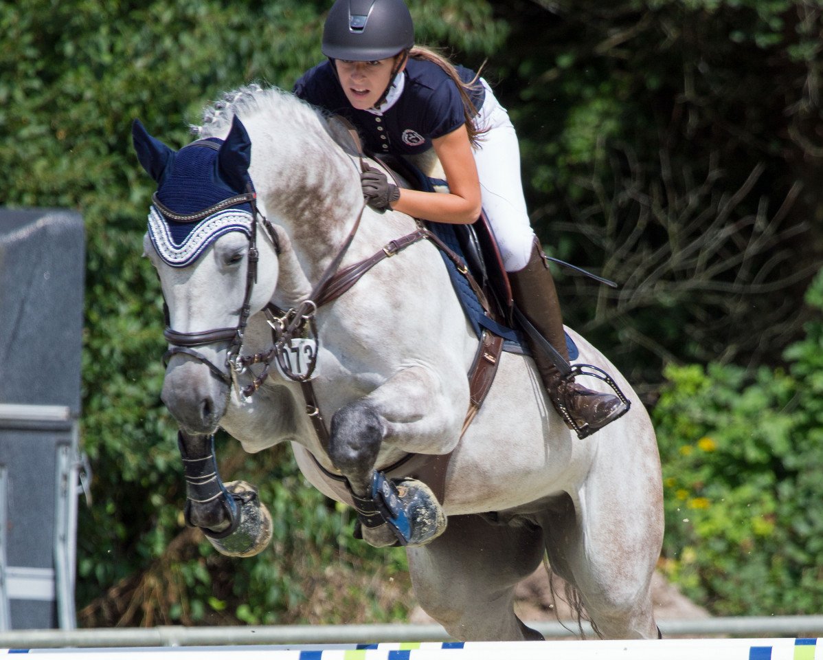 Springpferd Carballino (Holsteiner, 2006, von Cartani 4)