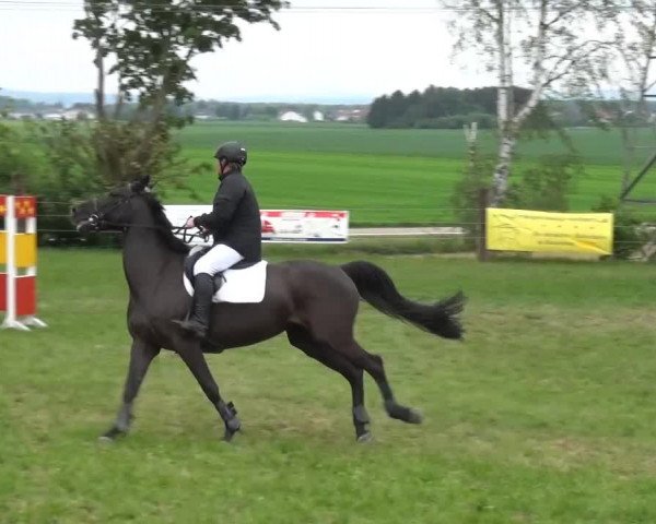 2. Limburger Springfestival 2015