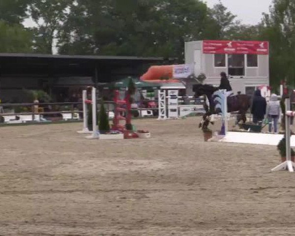Großes Reit- und Springturnier Kirchhellen/Stall Dieckmann 2015