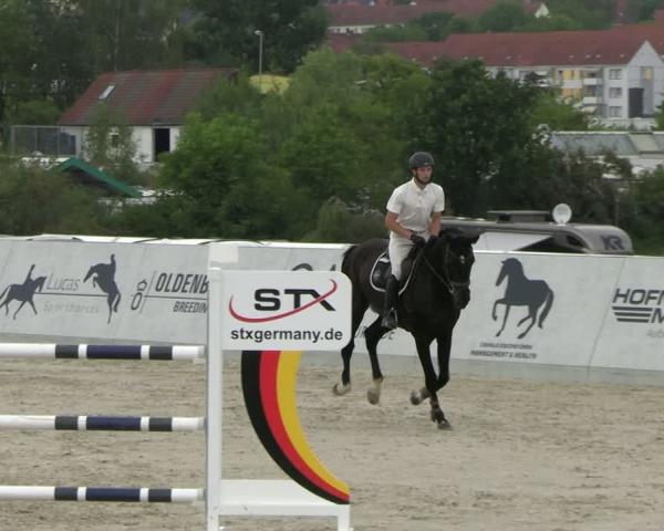 Jezdecké závody Zwickau 2026