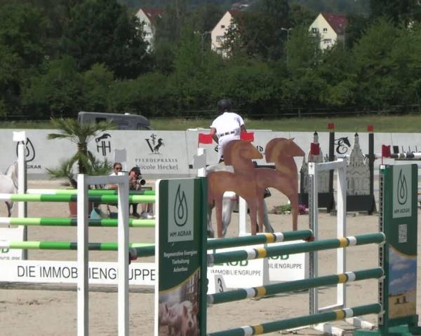 Ride turnering Zwickau 2026