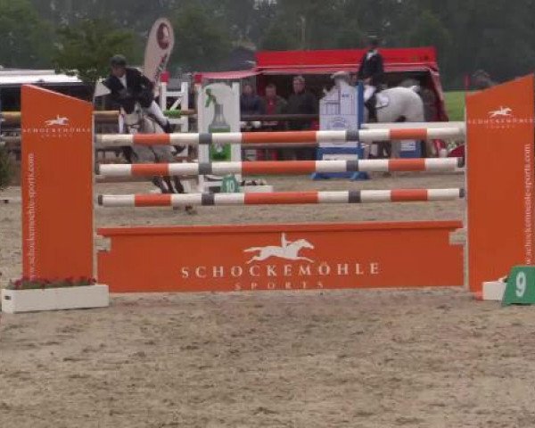 Großes Reit- und Springturnier Kirchhellen/Stall Dieckmann 2015