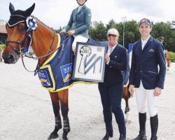 Springpferd Charley (KWPN (Niederländisches Warmblut), 2007, von VDL Harley)