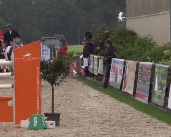 Großes Reit- und Springturnier Kirchhellen/Stall Dieckmann 2015