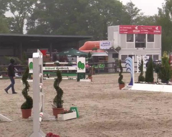 Großes Reit- und Springturnier Kirchhellen/Stall Dieckmann 2015