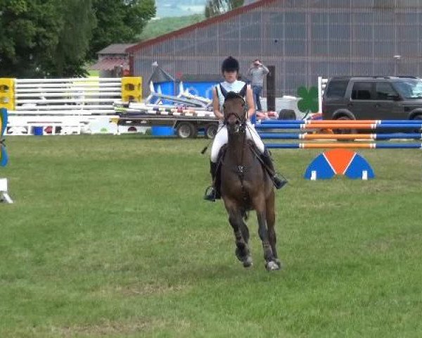 2. Limburger Springfestival 2015
