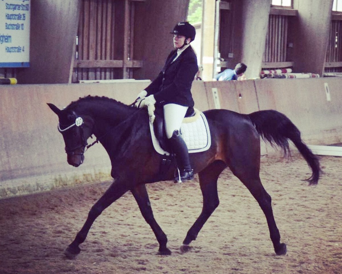 Broodmare Linalu (Rheinländer, 1999, from Lancer II)