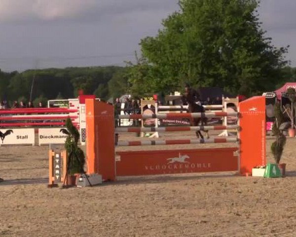 Großes Reit- und Springturnier Kirchhellen/Stall Dieckmann 2015