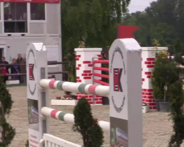 Großes Reit- und Springturnier Kirchhellen/Stall Dieckmann 2015