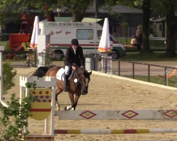 Reit - und Springturnier Hamm-Rhynern 2015
