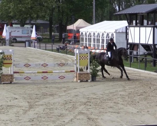 Reit - und Springturnier Hamm-Rhynern 2015
