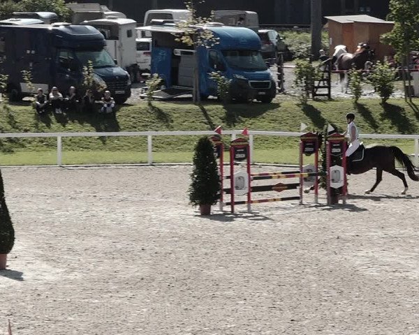 Pferdesporttage Bülach 2021