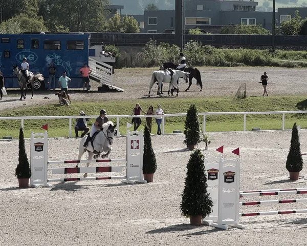 Pferdesporttage Bülach 2021