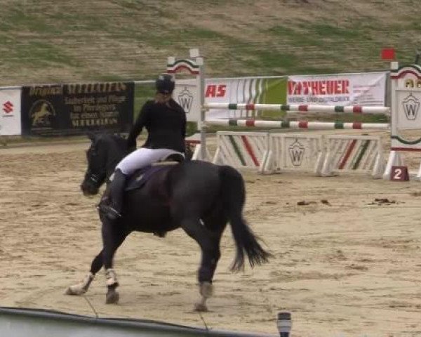 Reit - und Springturnier Hamm-Rhynern 2015