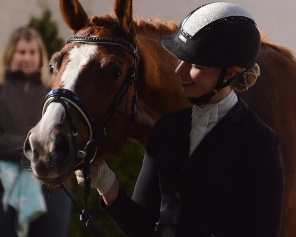 Dressurpferd Eddy (Westfale, 2015, von Estobar NRW)