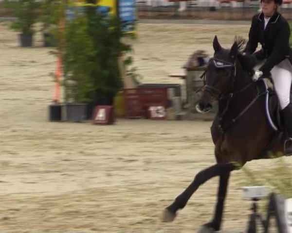 Reit - und Springturnier Hamm-Rhynern 2015