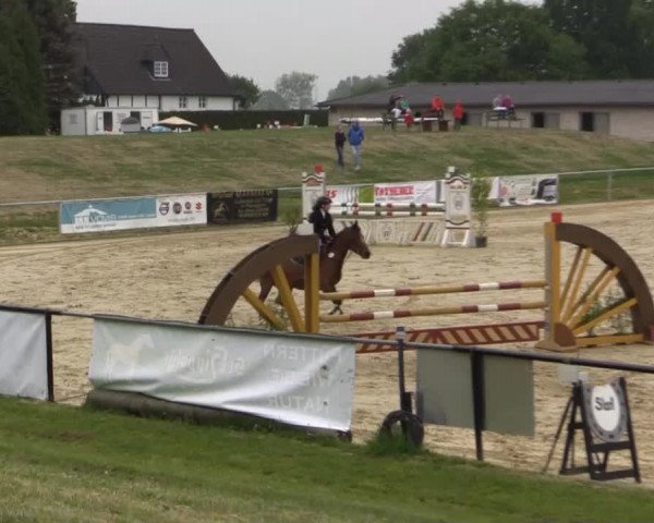 Reit - und Springturnier Hamm-Rhynern 2015