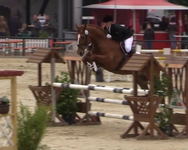 Reit - und Springturnier Hamm-Rhynern 2015