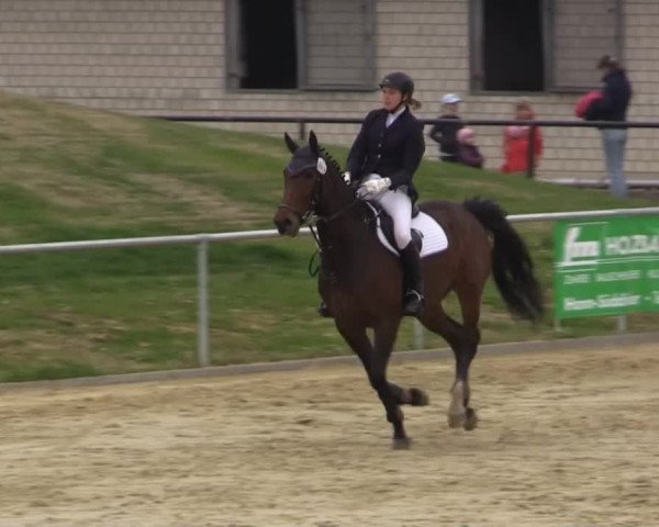 Reit - und Springturnier Hamm-Rhynern 2015