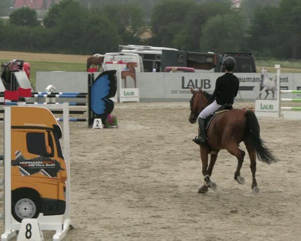 Jezdecké závody Zwickau 2026