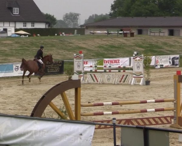 Reit - und Springturnier Hamm-Rhynern 2015