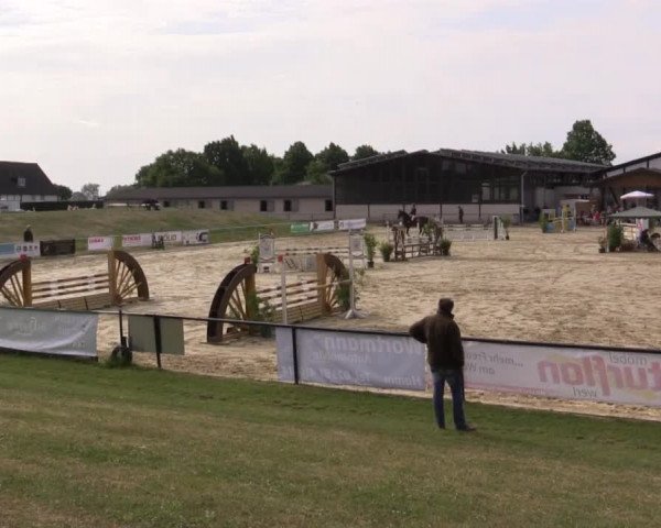 Reit - und Springturnier Hamm-Rhynern 2015