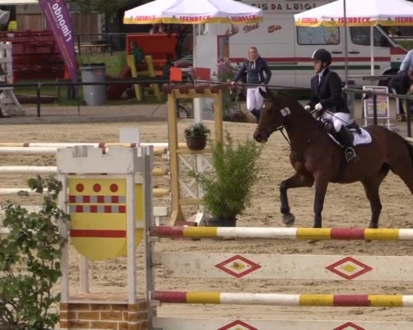 Reit - und Springturnier Hamm-Rhynern 2015