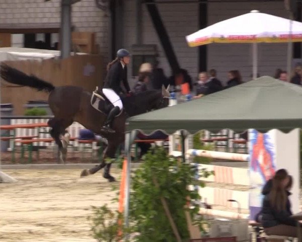 Reit - und Springturnier Hamm-Rhynern 2015
